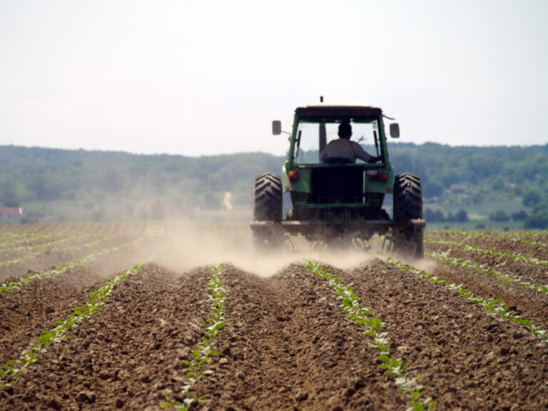Podrška kapitalnim investicijama u polјoprivredi