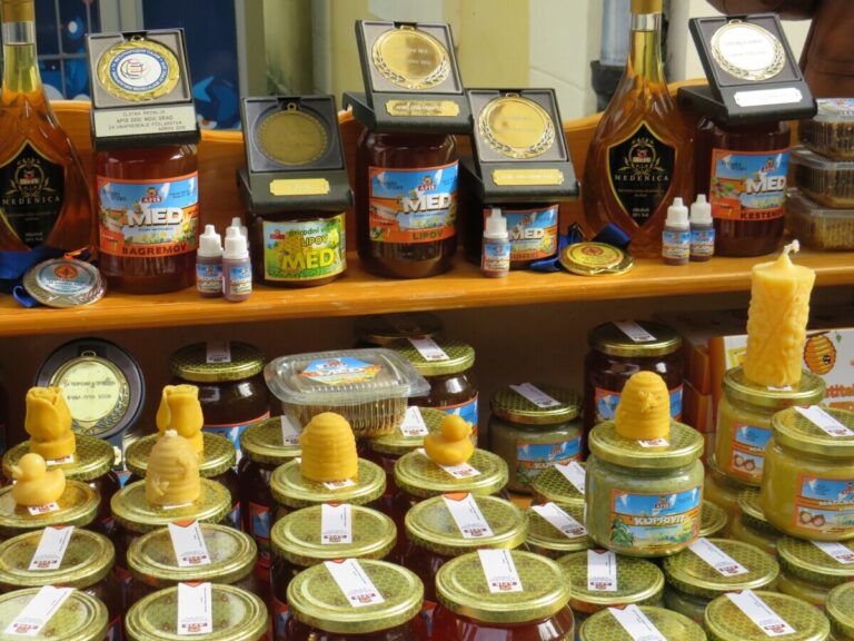 11. Dani pčelarstva, voćarstva i našeg sela u Novom Gradu