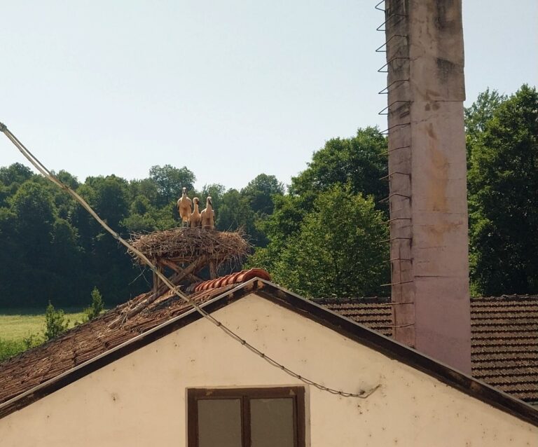Postavljena gnijezda za rode